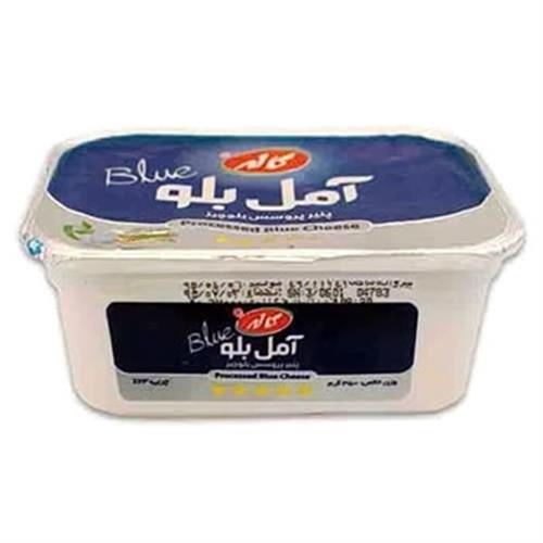 محصولات لبنی آمل